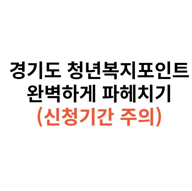 경기도 청년복지포인트