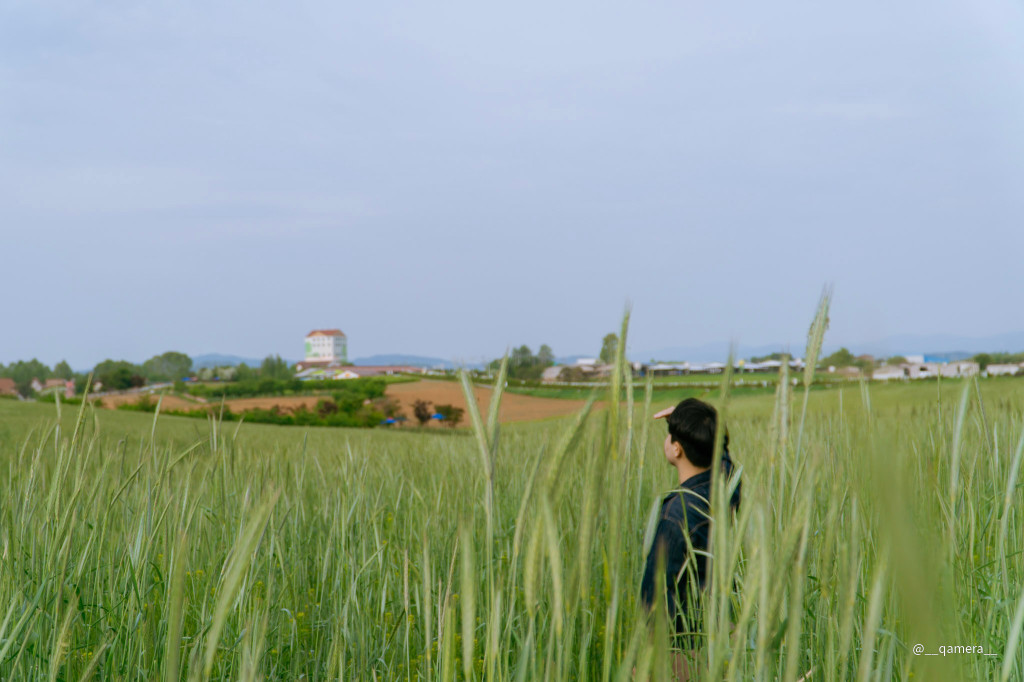 안성 팜랜드 인생샷