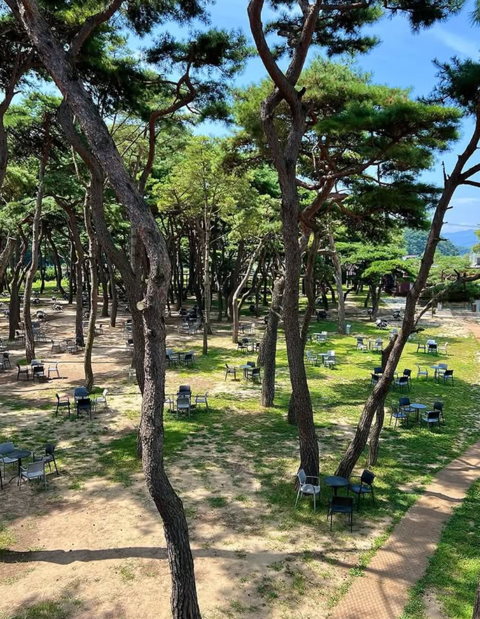 춘천 여행 코스