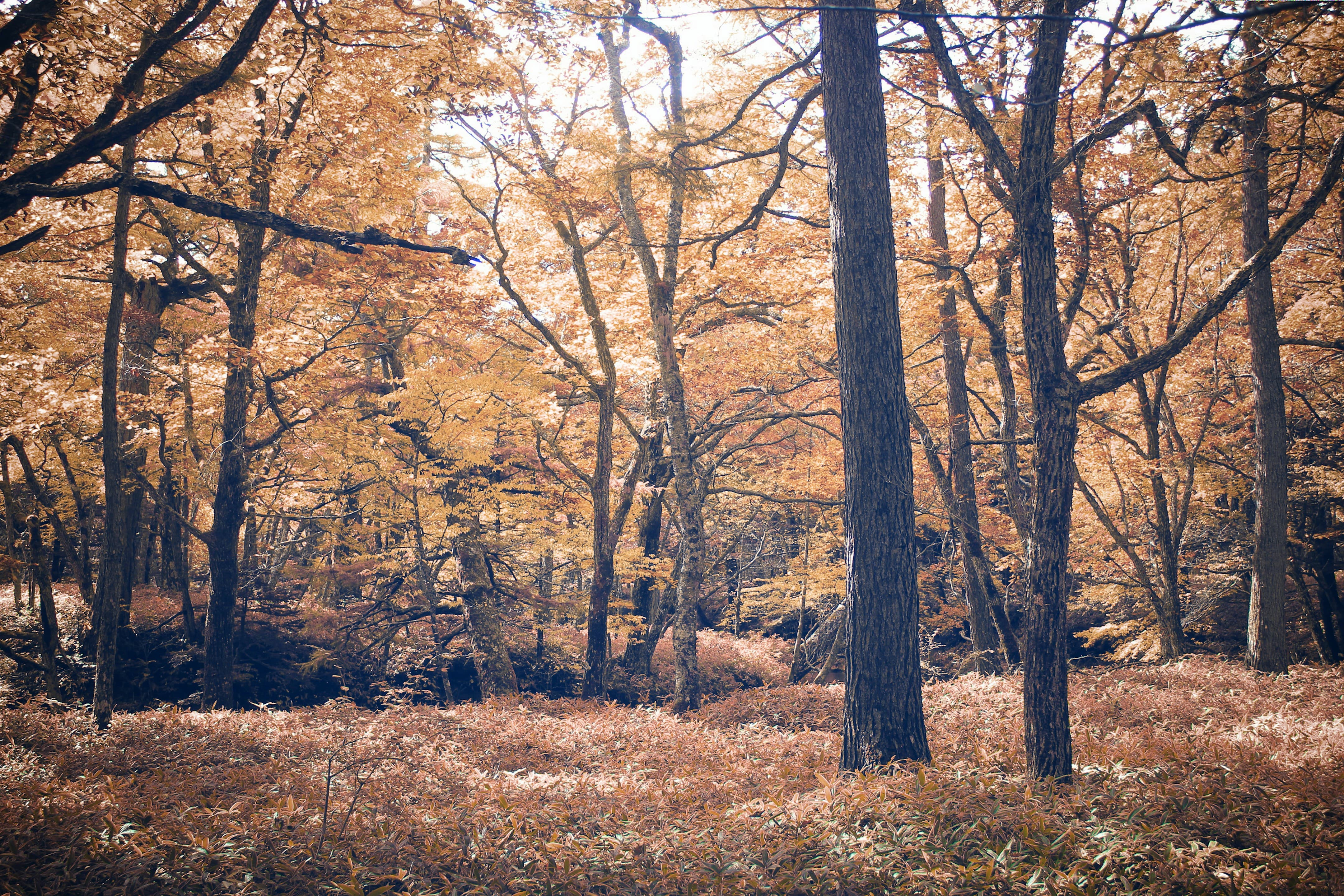 10월 경상도 지역 축제일정