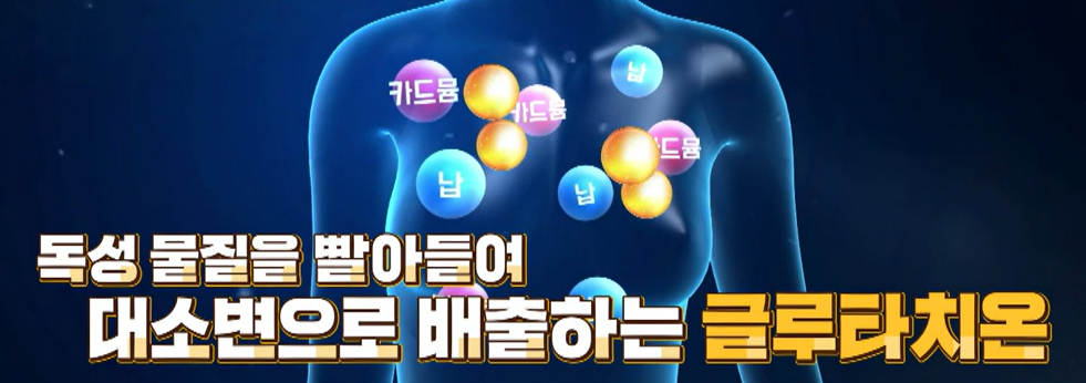 글루타치온 효능