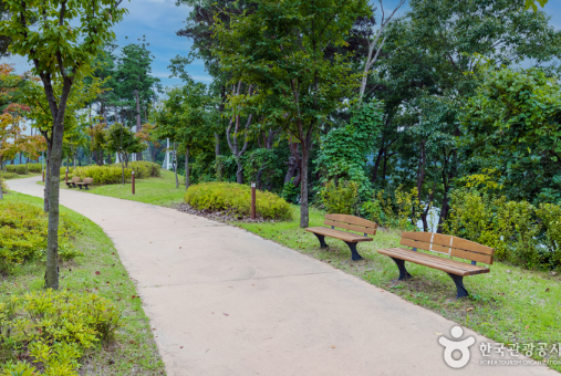 용마루공원 정보