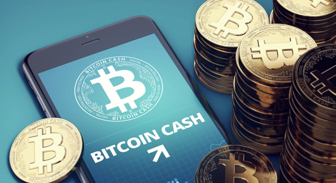 비트코인 캐시 시세 전망
