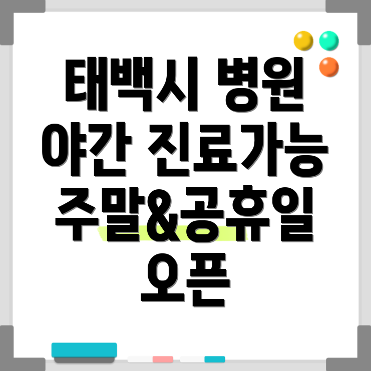 강원 태백시 병원