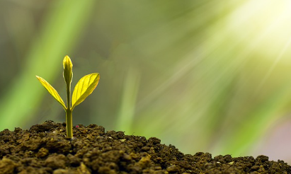 광명시-민생회복지원금