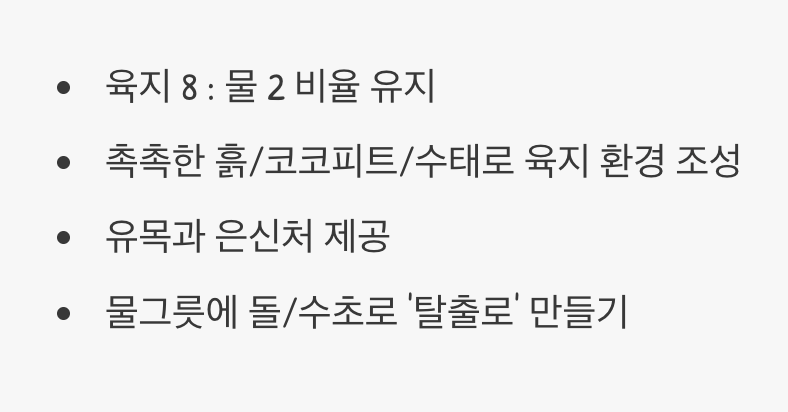 뭍 80%, 물 20%의 황금비율 (사육장 세팅)