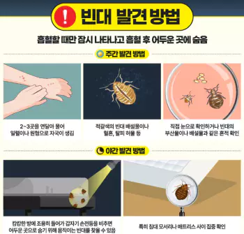 빈대 발견 방법