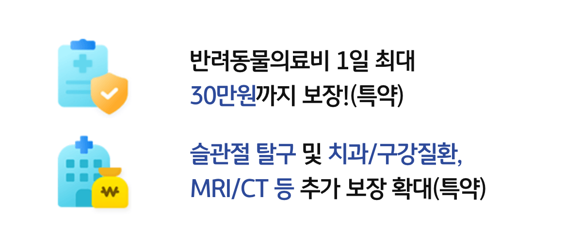 펫보험 ❘ 종류 ❘ 비교 ❘ 베스트 2 추천