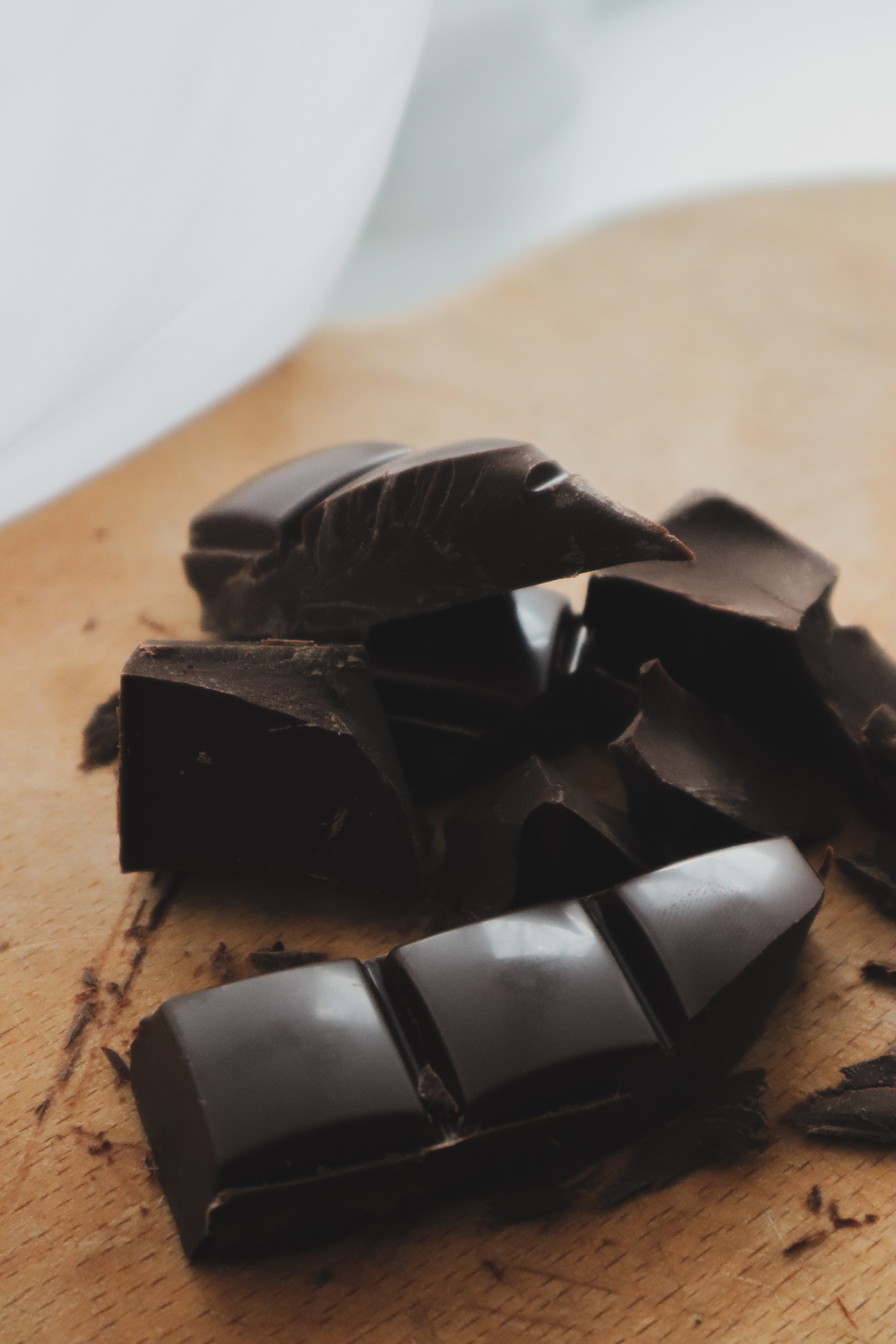 강아지 초콜릿 먹었을 때 증상 대처 방법