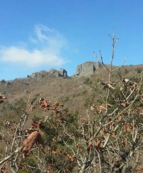 제암산자연휴양림