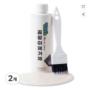 청정세상 붓으로 바르는 곰팡이 제거제 (붓포함), 500g, 2개