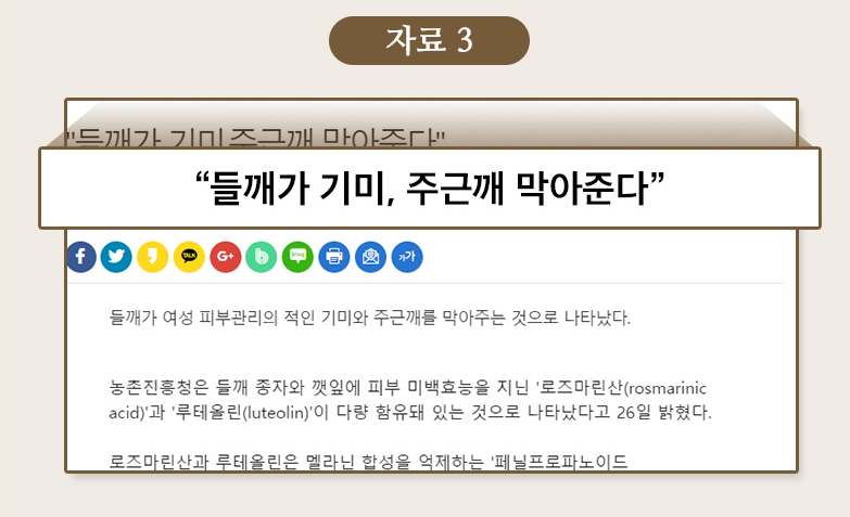 들깨미백크림