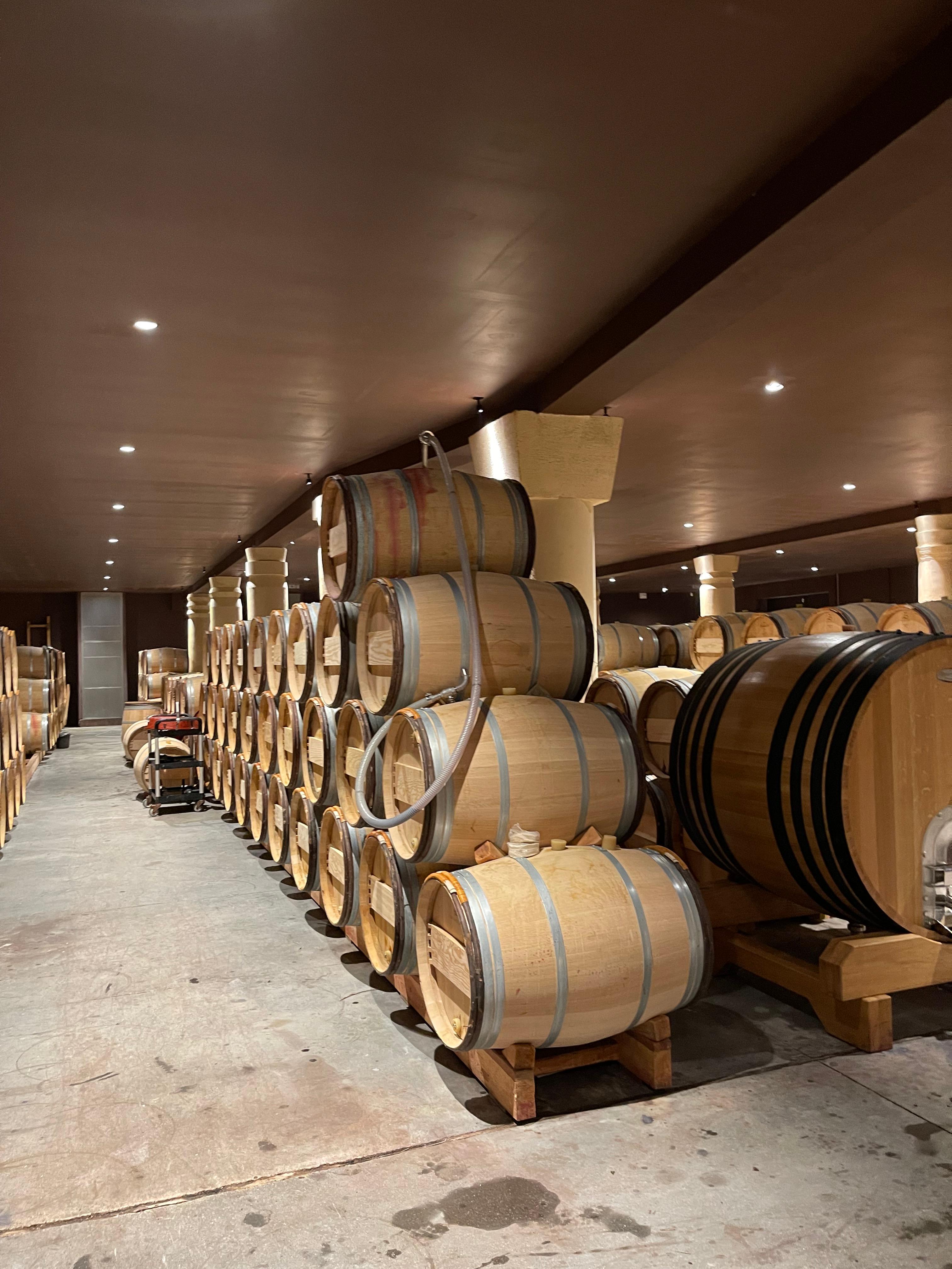 Château Pichon Baron 1번 숙성 창고 찌꺼기 펌핑
