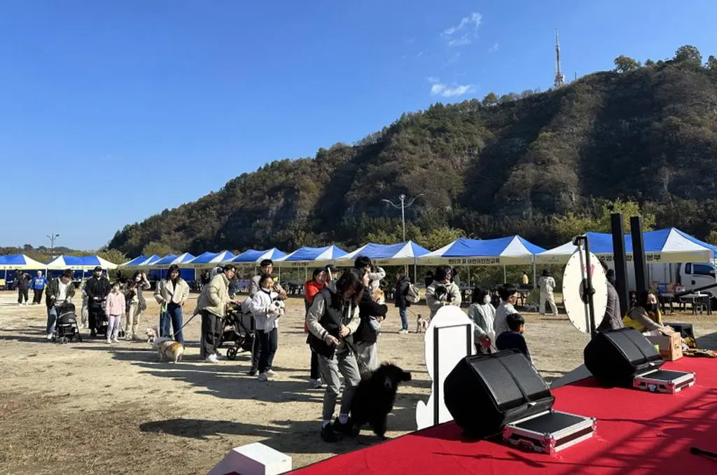 신안동 강변무대 잔디광장 가호동 강변공원 진주시 반려동물 문화축제 소개 가좌동 호탄동 반려견 이벤트 행사 일정 시간