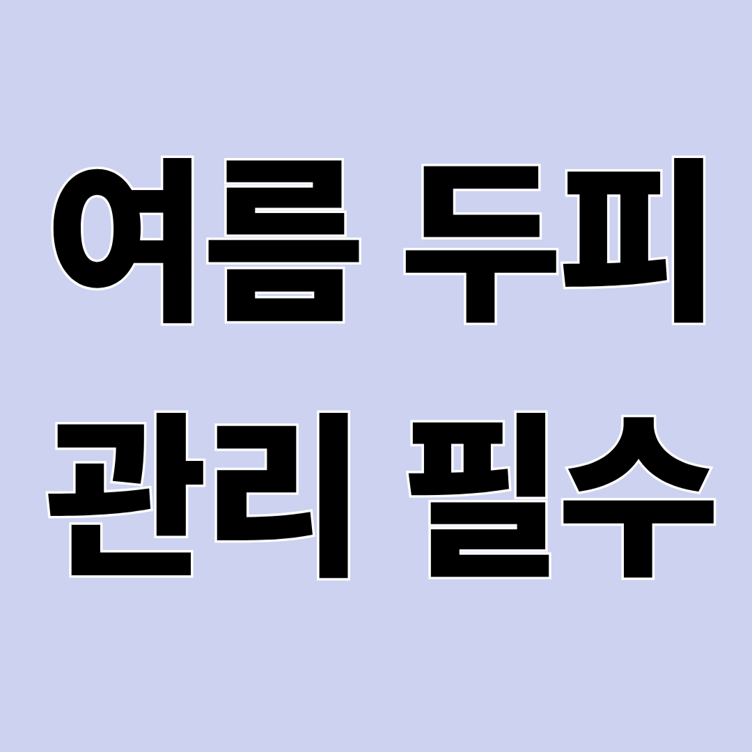 여름철 두피 냄새 관리 방법 – 머리 냄새 줄이는 생활습관