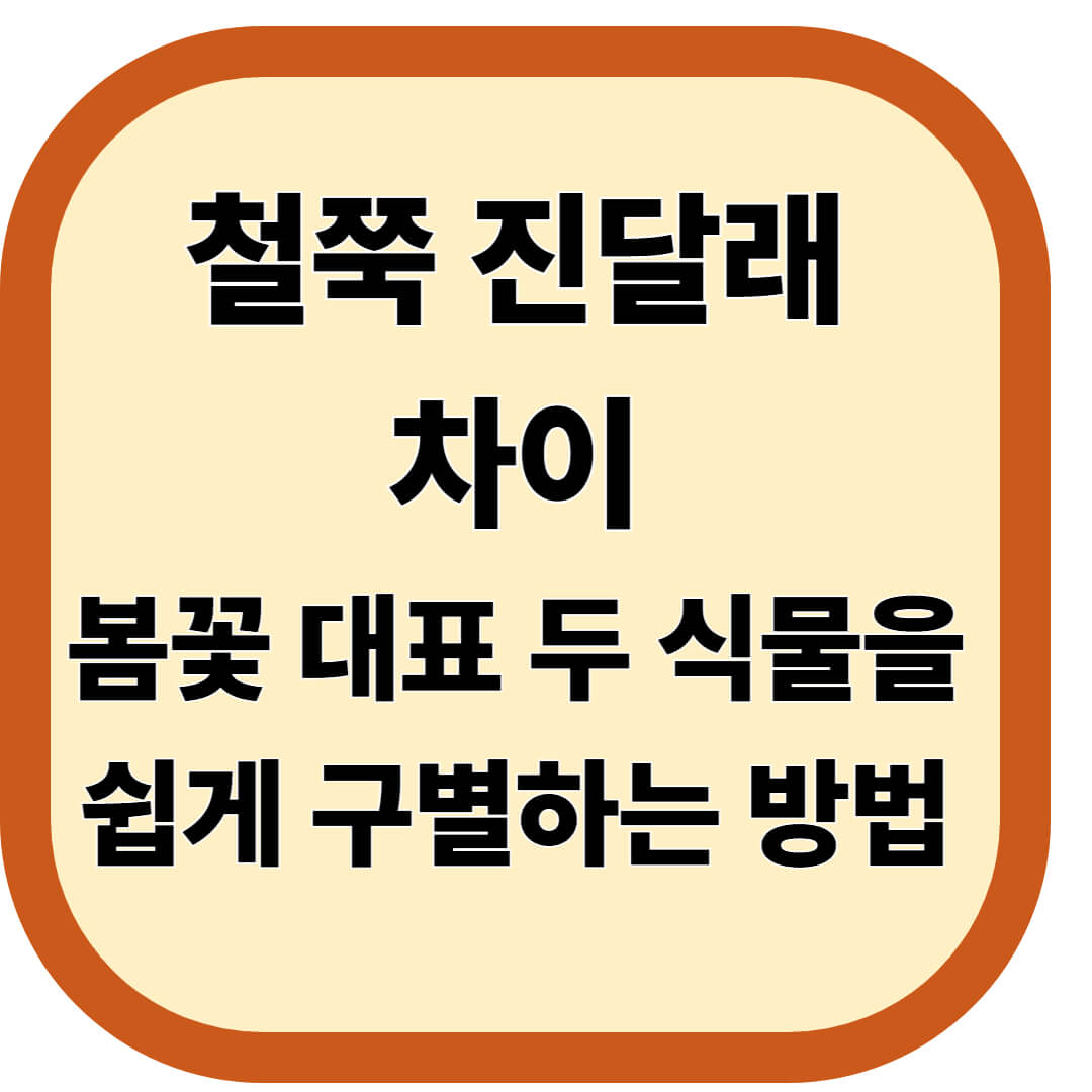 철쭉과 진달래의 차이