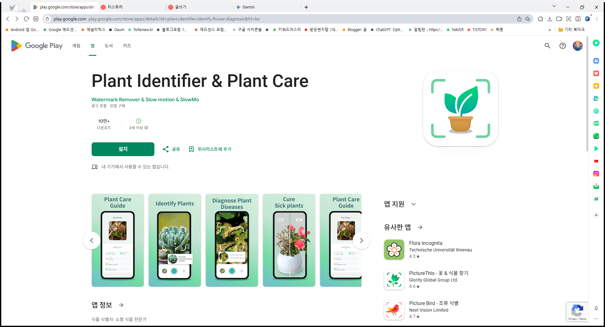 식물이름 찾기 어플, 핸드폰 식물사진으로 검색하고 식물식별 이름 찾기