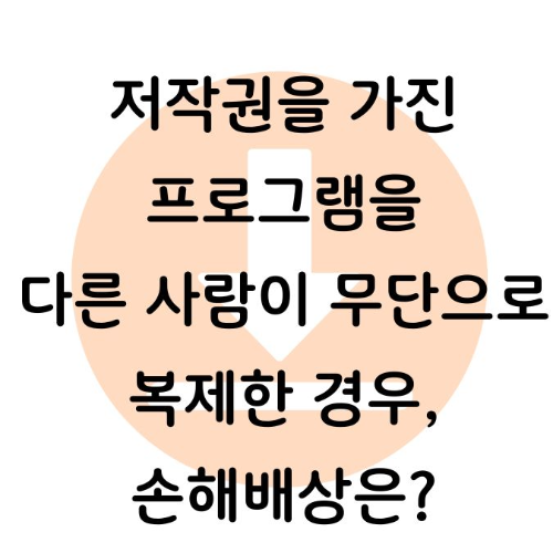 저작권 판례, 저작권 침해, 손해배상 청구, 프로그램 복제, 저작재산권, 저작권법, 외주업체, 법적 사례