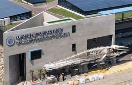 사천 아라마루아쿠아리움