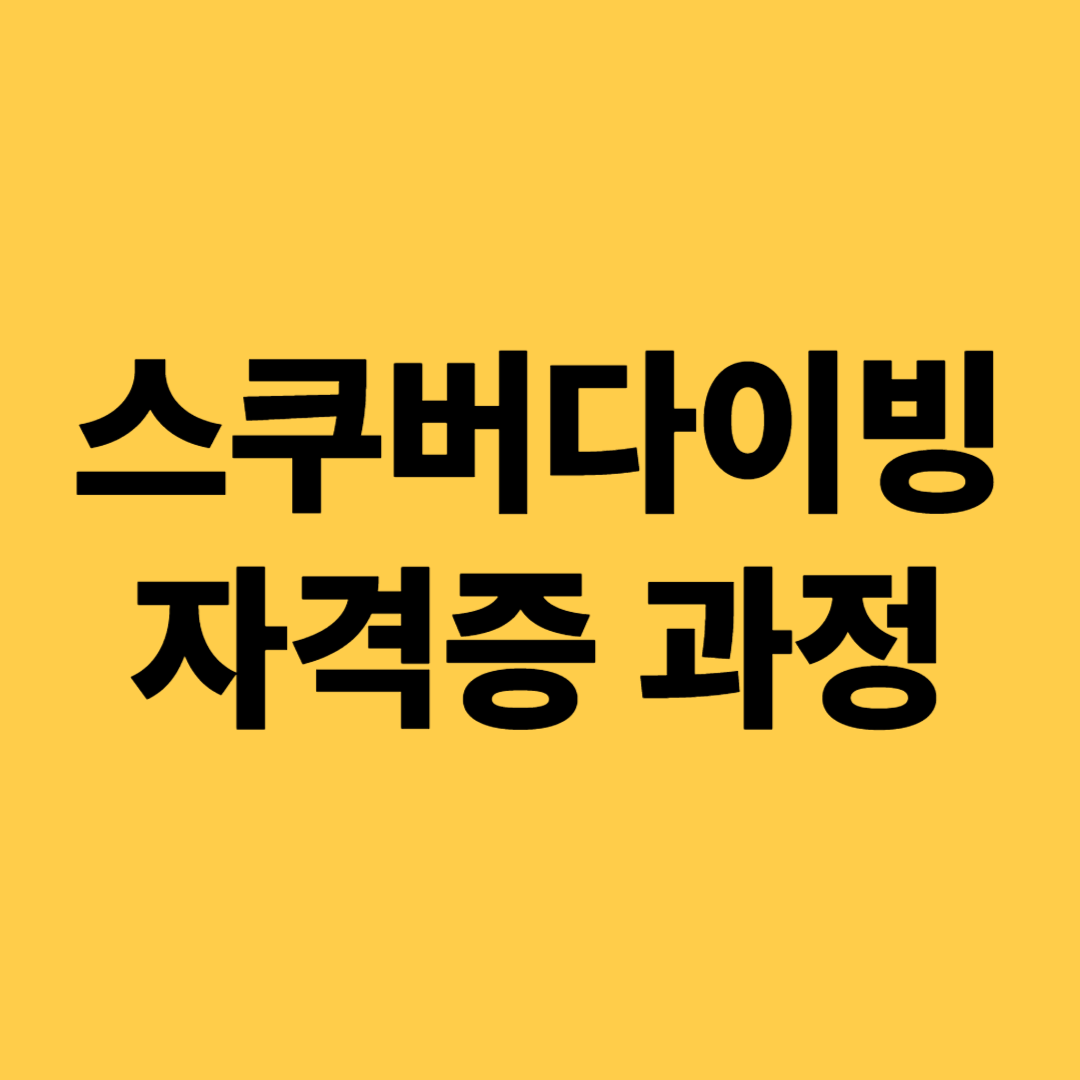 스쿠버다이빙 자격증 과정