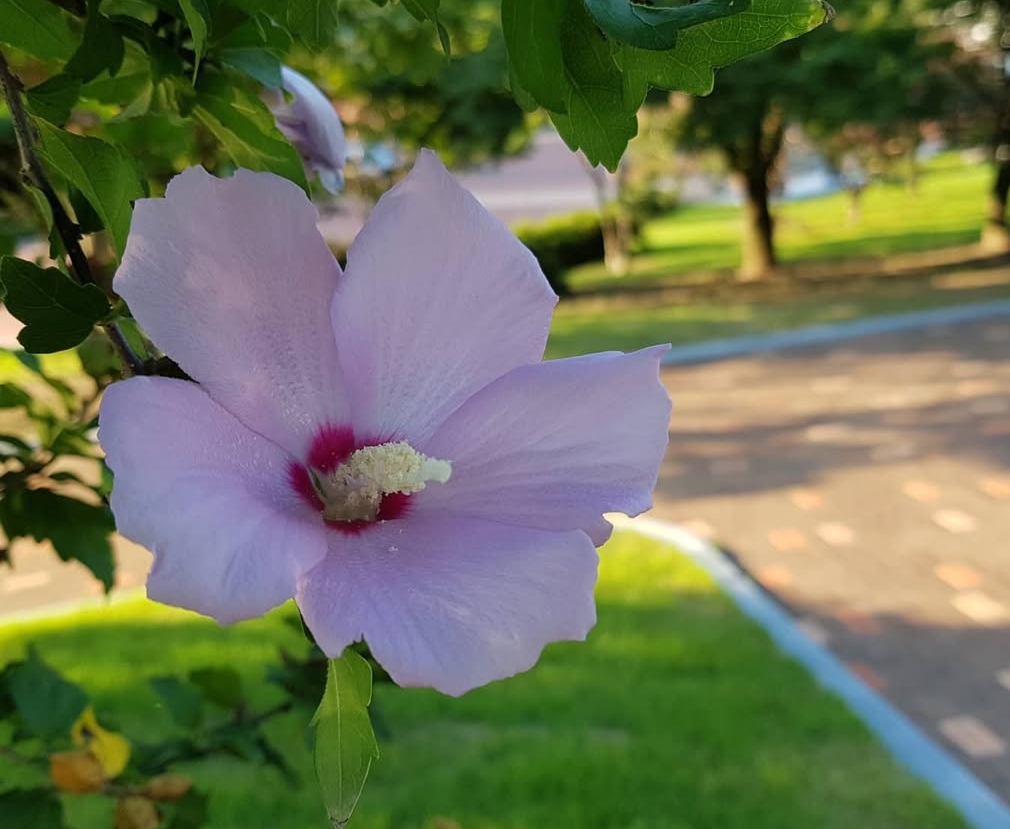 대구 일출 명소 국립신암선열공원