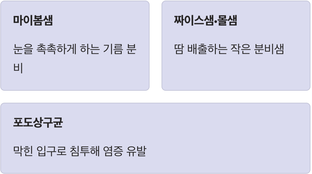 우리 눈꺼풀에 생긴 작은 여드름
