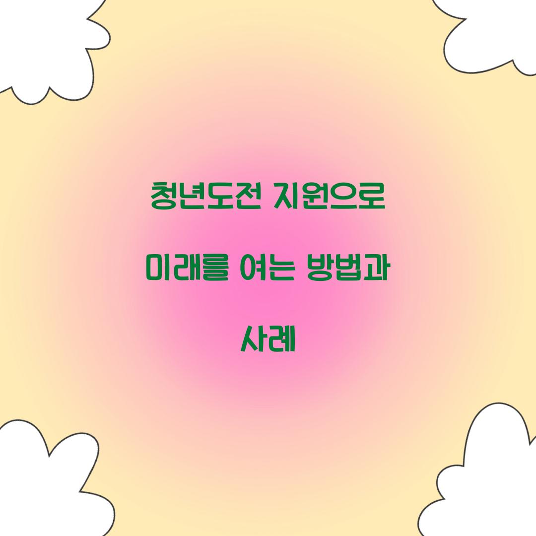 청년도전 지원