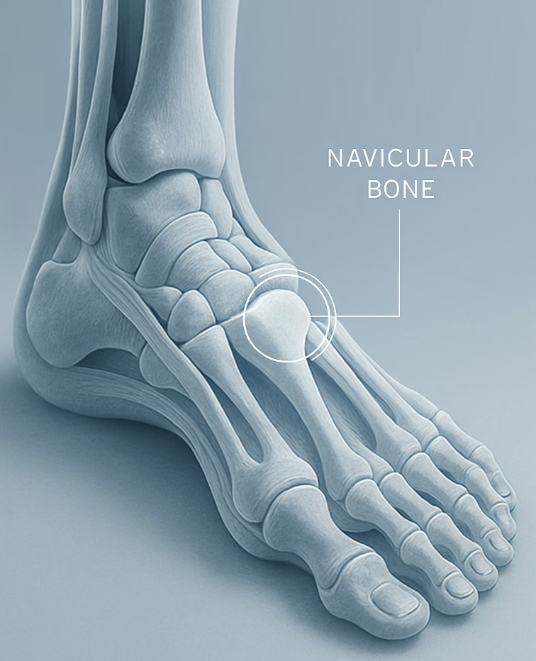 내가 타고난 ‘보너스 뼈’의 정체