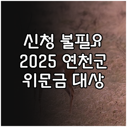 신청 불필요! 2025 연천군 보훈 ..