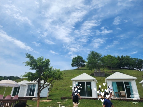 강원도 태백 여행 몽토랑 산양목장 방갈로 대여
