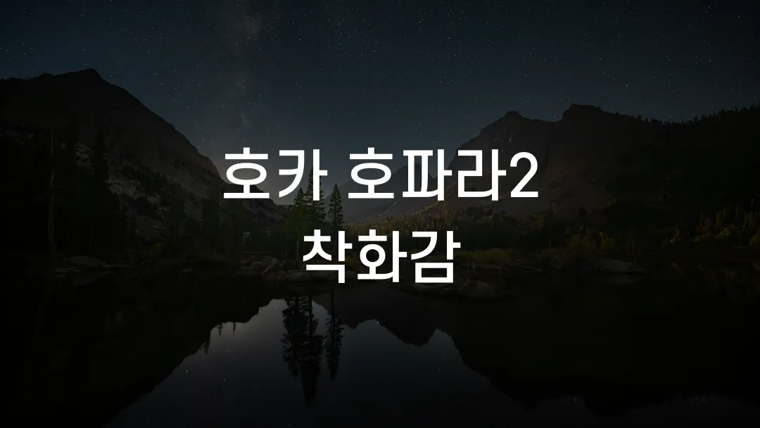 호카 호파라2 착화감