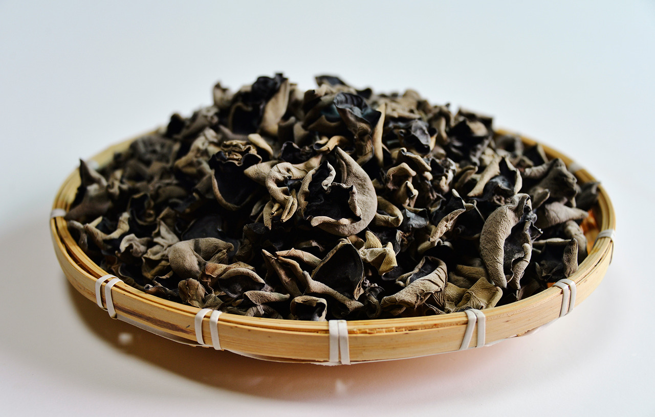 tipoazul.tistory.com