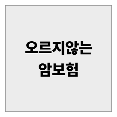 오르지않는암보험 완벽 가이드 - 평생 보험료 고정으로 안심하는 암보험 선택법