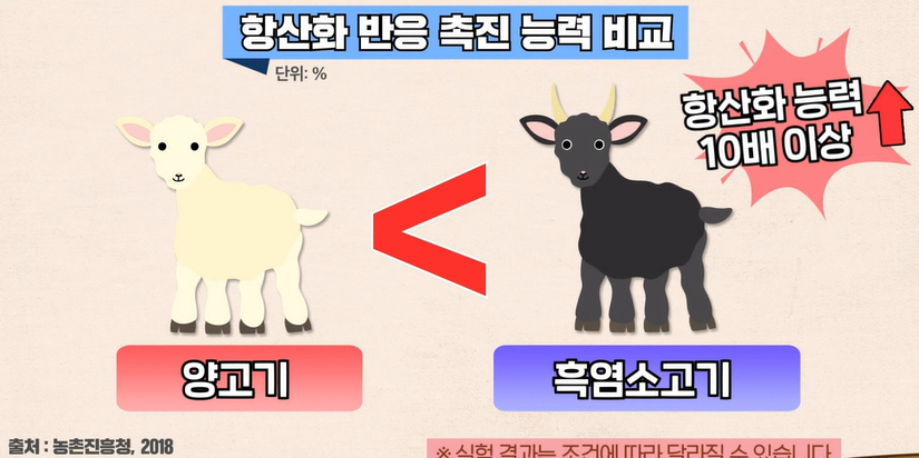 흑염소진액 효능