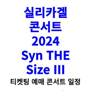 실리카겔-콘서트-티켓팅-예매-2024-일정