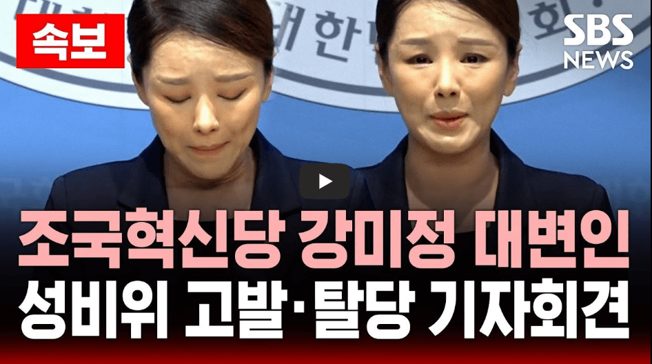 강미정 대변인