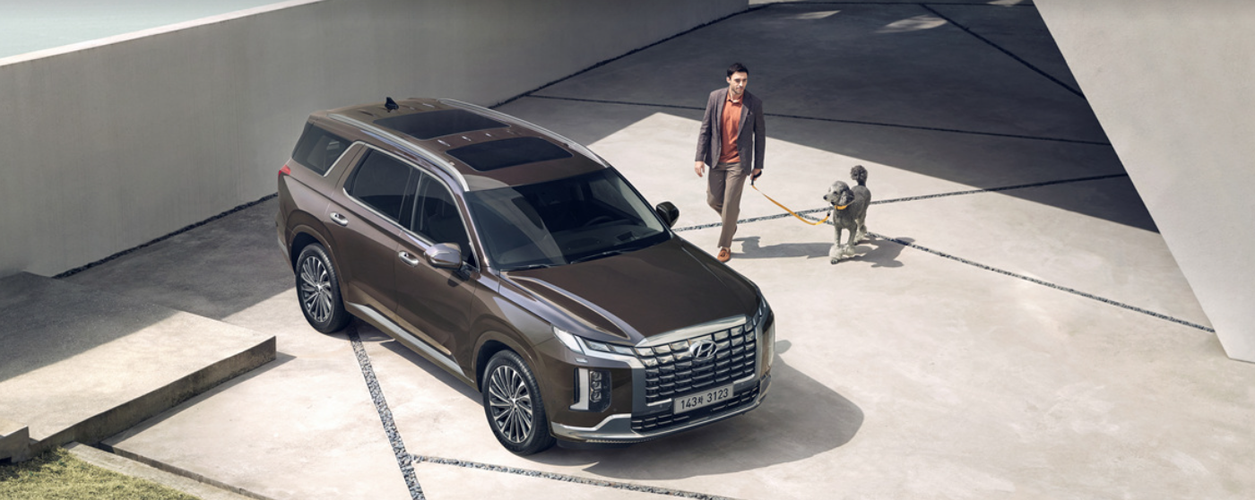 2024 팰리세이드