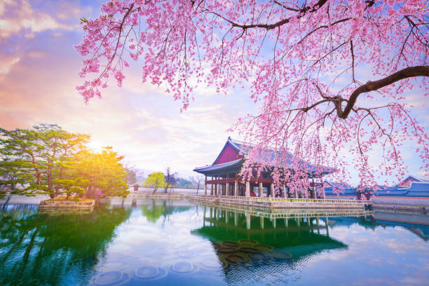 Travel destinations to go on alone