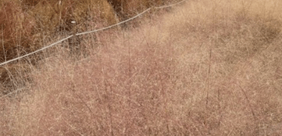 가을여행 단풍 기차여행 추천