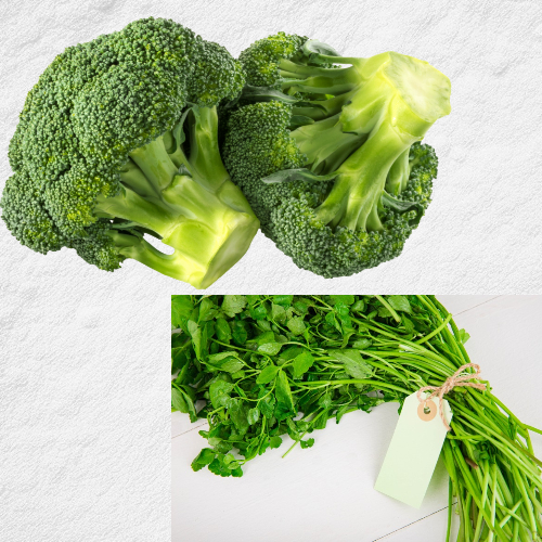 지방간에 좋은 음식 브로콜리 미나리