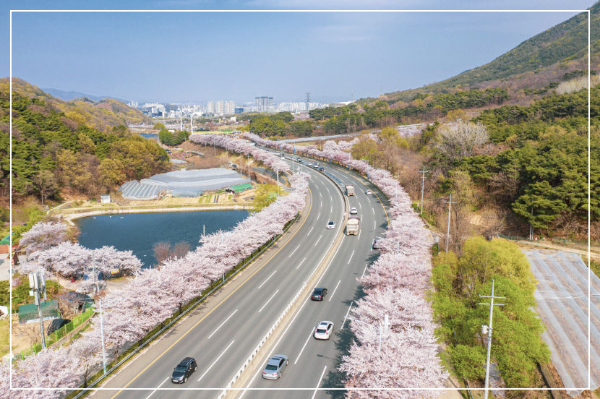 대구 산격동 꽃보라동산(근린공원) 가는 시내버스 노선정보