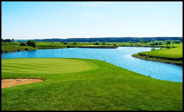 파크골프 용어 정리 (+ 해설 )