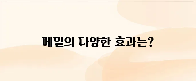 메밀 효능·섭취법·주의사항 알아보기