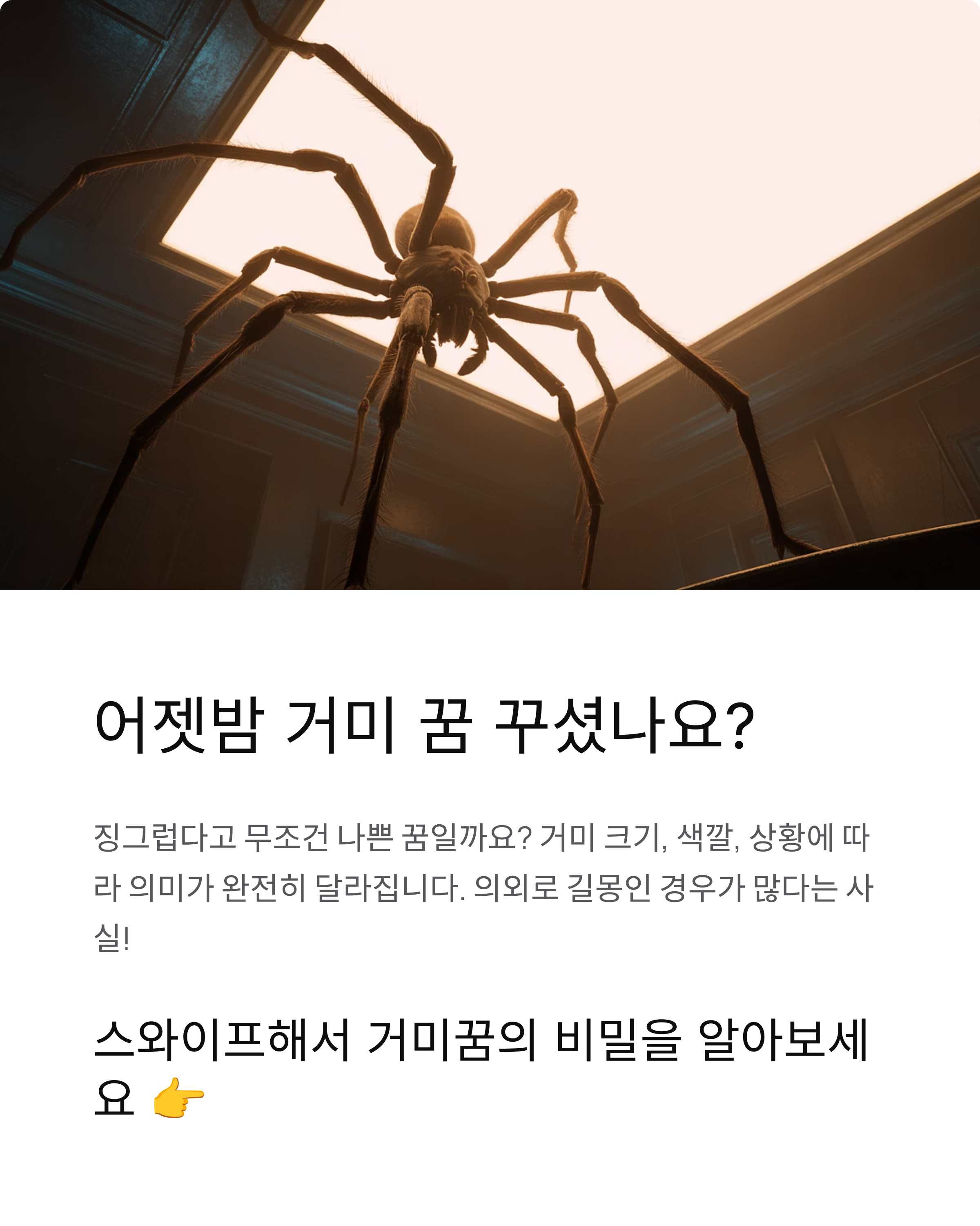 거미꿈 해몽 완벽 가이드