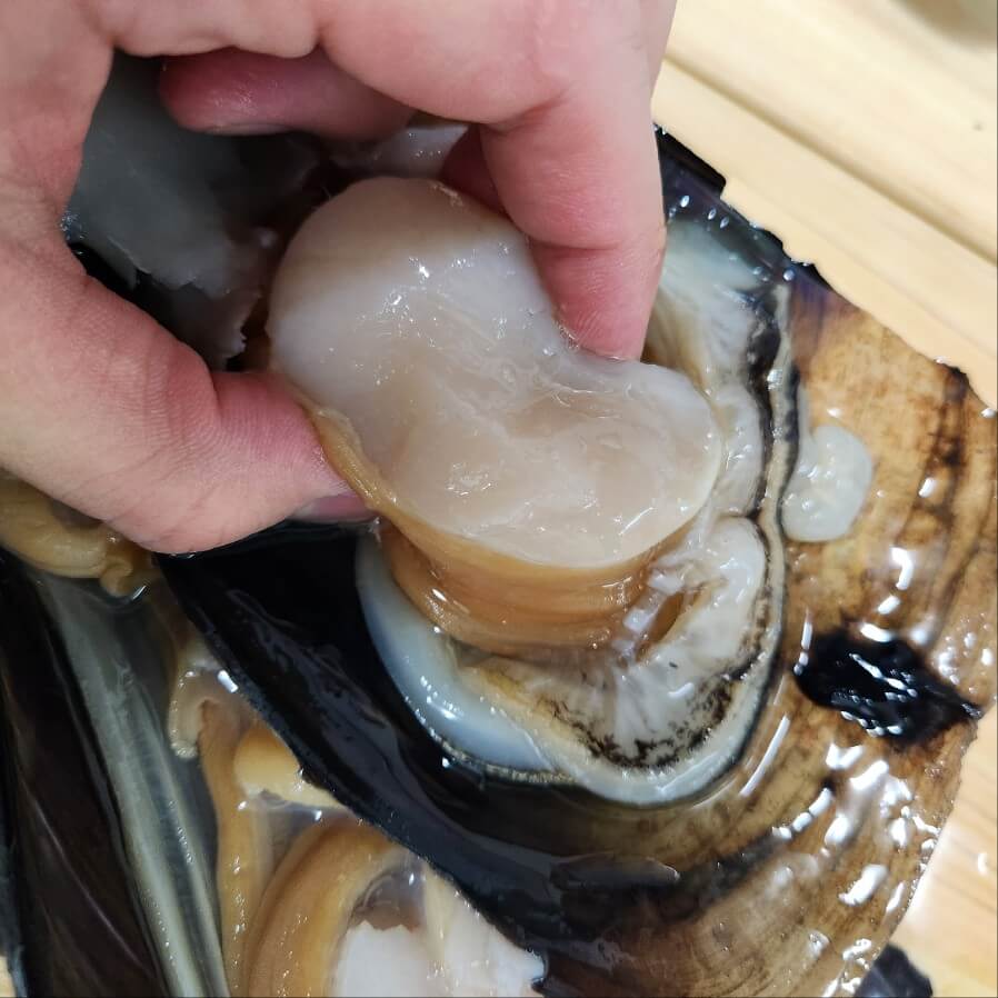 캠핑키조개 키조개 관자 손질 키조개 먹는법 조개 손질 키조개 손질법 키조개미역국 키조개 가격 피조개 손질 키조개 구이 키조개 내장 손질 새조개 새조개손질 키조개 삼합 키조개 관자