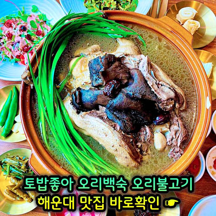 부산 해운대 맛집 무항생제 1등급 오리 백숙