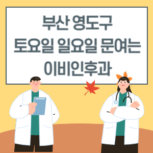 부산 영도구 토요일 일요일 이비인후과 진료 병원 리스트