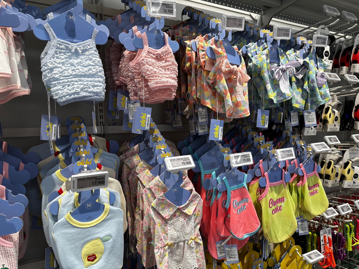 리본이 달린 애견 바지와 스트라이프 민소매 강아지 옷 - 실내외 겸용