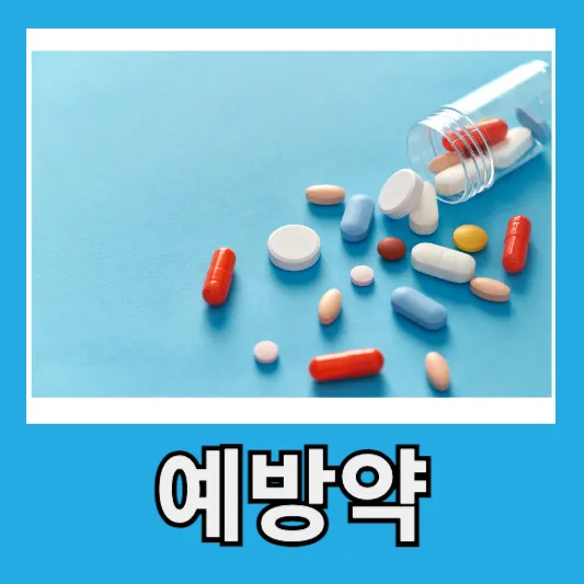 예방약 복용 방법