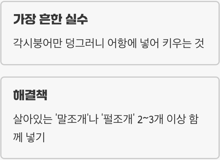 짝 없는 결혼식, 조개 없는 수조